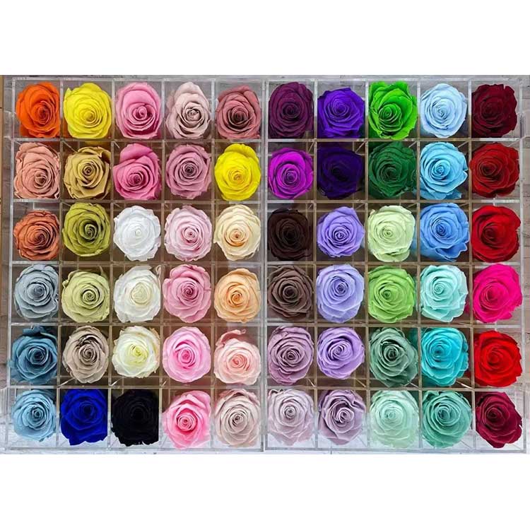 Tartósított rózsák